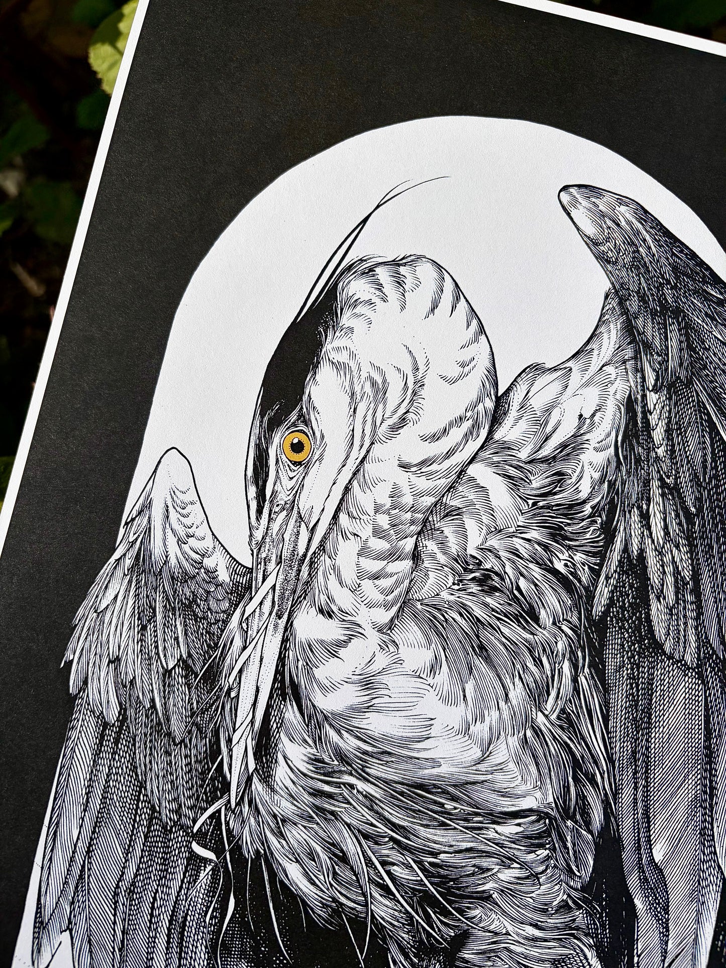 “Guilt” PRINT