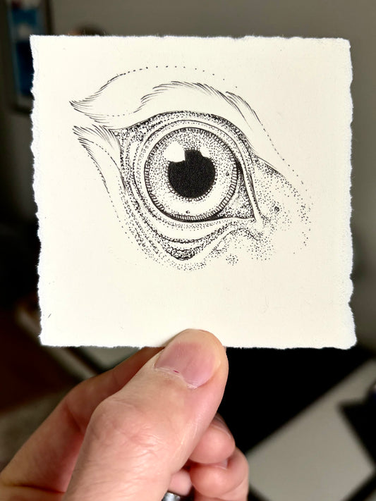 Eye No. 4
