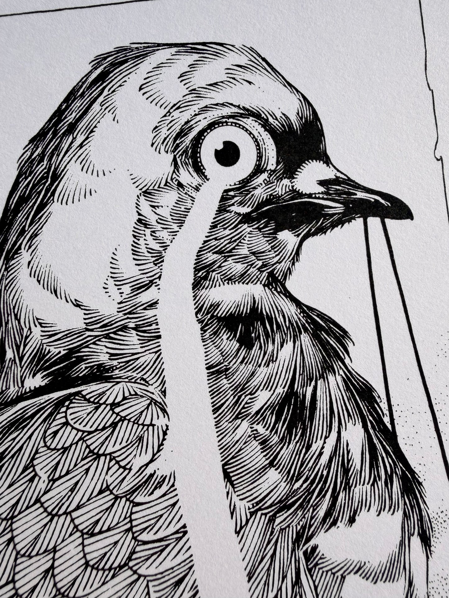 Bleak PRINT