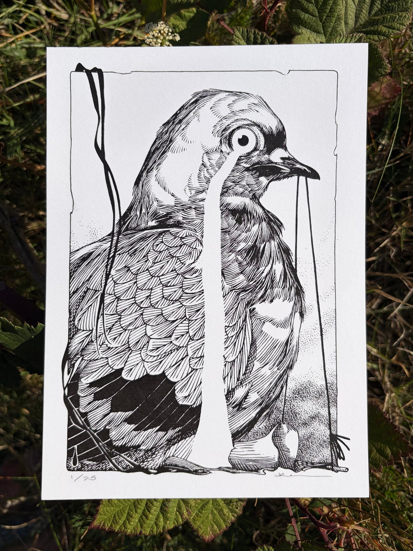 Bleak PRINT